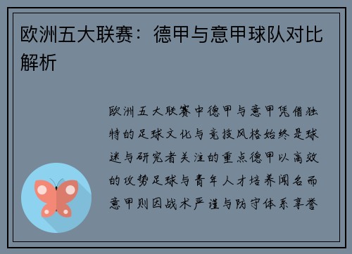 欧洲五大联赛：德甲与意甲球队对比解析